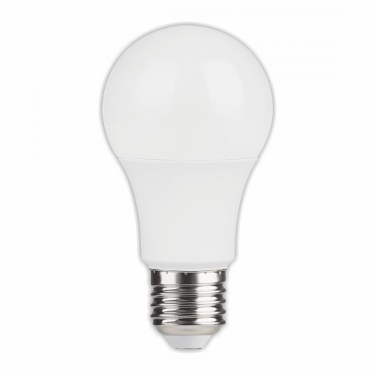 Sijalica LED 12V-24V-36V E27 12W  A60 AC/DC 6500K — slika 1
